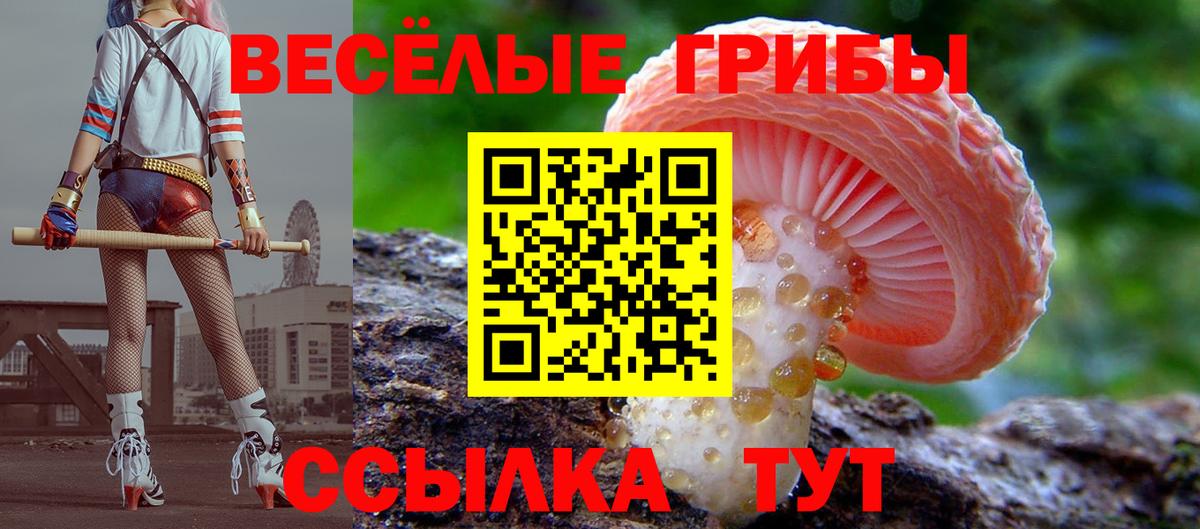 Галлюциногенные грибы прущие грибы Красноармейск