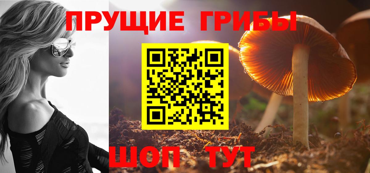 Красноармейск  Псилоцибиновые грибы мухоморы  Вход с VPN 